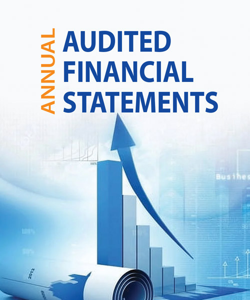 Audited Financial Statements 2024-2025